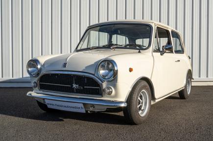 Mini 1001