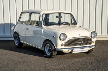 Mini 1001