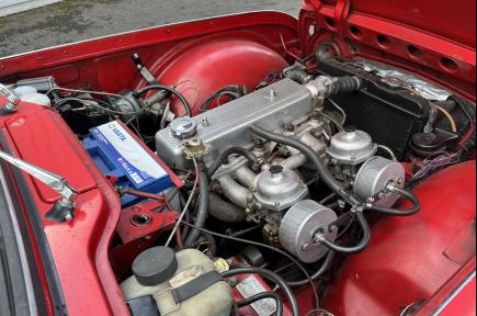 TR 4 IRS