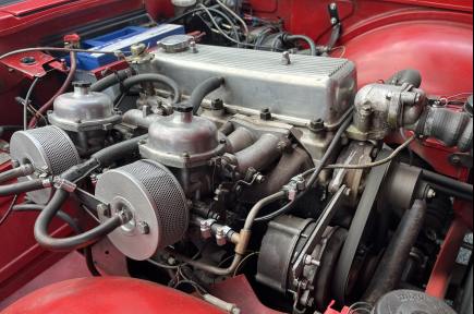 TR 4 IRS